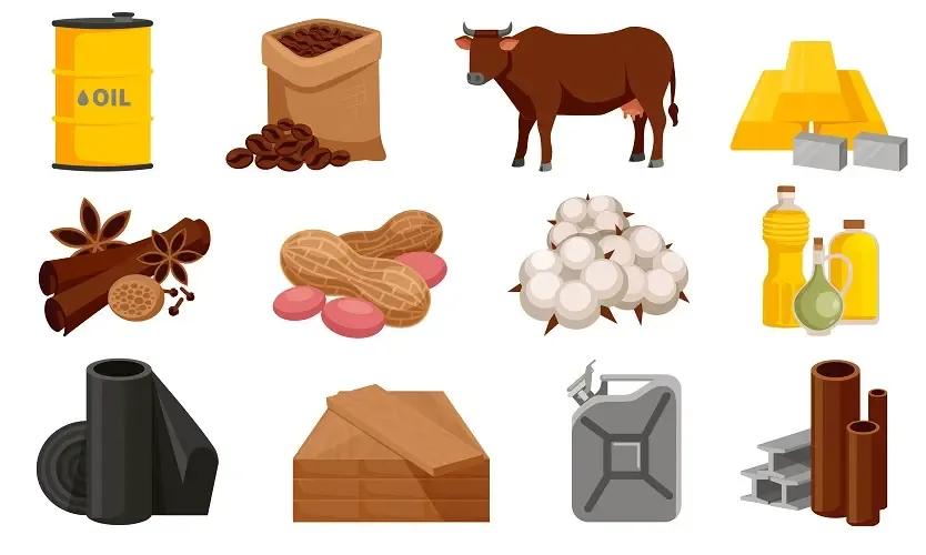 classification douanière des marchandises pour la douane des États-Unis d'Amérique