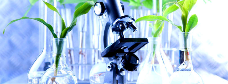 Différence entre produits cosmétiques et médicaments aux États-Unis