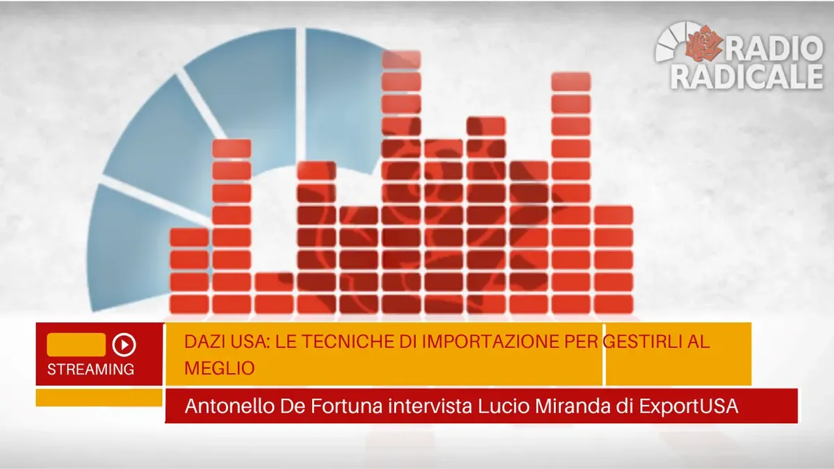 Radio Radicale interviewe Lucio Miranda d'ExportUSA sur les techniques d'importation en Amérique le 30 juillet 2025